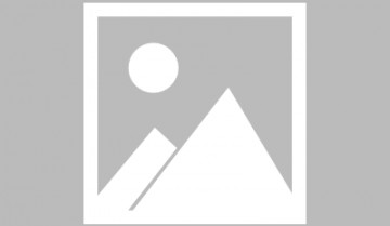 原神收集丢失的五本书在哪 原神收集丢失的五本书位置一览