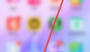 美篇怎么查看美篇花瓣数量？美篇查看美篇花瓣数量教程