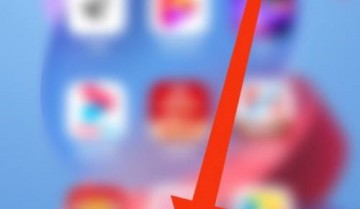 影视大全怎么查看法律条款？影视大全查看法律条款教程