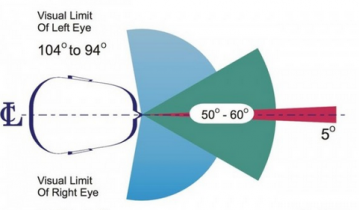 snipaste如何截长图 snipaste截长图方法教程