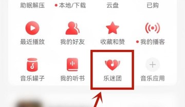 网易云音乐怎么隐藏乐迷牌？网易云音乐隐藏乐迷牌教程