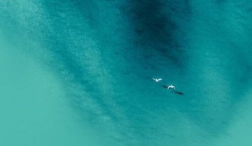 百度网盘怎么查看黑名单?百度网盘查看黑名单方法