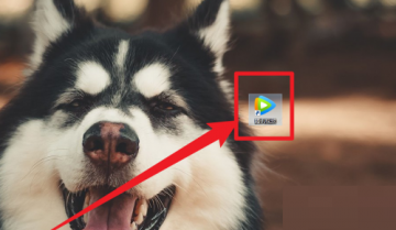 腾讯视频怎么关闭个性化视频自动播放？腾讯视频关闭个性化视频自动播放教程