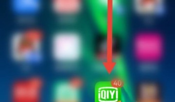 爱奇艺极速版怎么查看营业执照？爱奇艺极速版查看营业执照教程