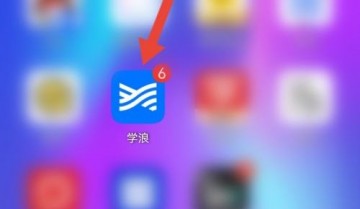 学浪怎么查看侵权投诉指引？学浪查看侵权投诉指引方法