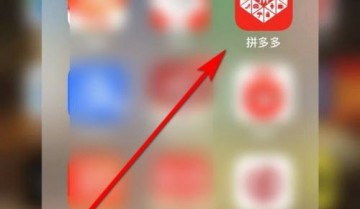 拼多多怎么查看多多号?拼多多查看多多号方法