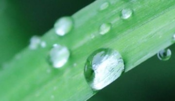 腾讯会议二维码在哪里?腾讯会议二维码查看方法