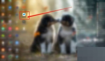 todesk怎么查看版本号?todesk查看版本号教程