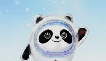 飞常准怎么查看当地的核酸政策?飞常准查看当地的核酸政策方法