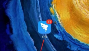 钉钉怎么查看钉钉使用手册?钉钉查看钉钉使用手册教程