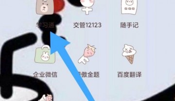 学习通怎么查看钱包?学习通查看钱包方法