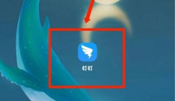 钉钉怎么领取钉钉卡？钉钉领取钉钉卡教程