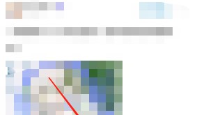 米游社怎么查看个人收藏？米游社查看个人收藏方法
