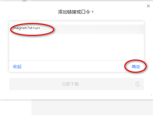 迅雷11怎么使用磁力链接?迅雷11使用磁力链接教程截图